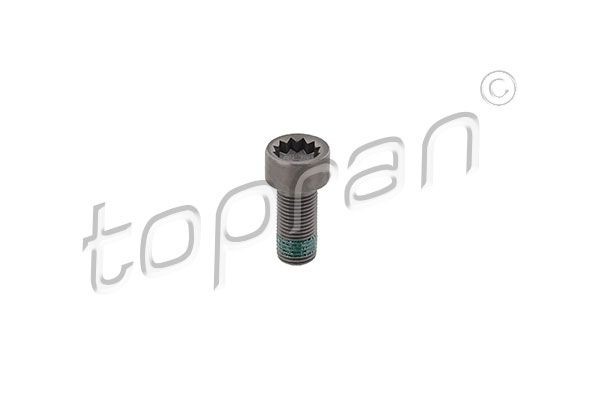 TOPRAN Spararata skrūve 117 243 cena Spararata skrūve PORSCHE 117 243 TOPRAN