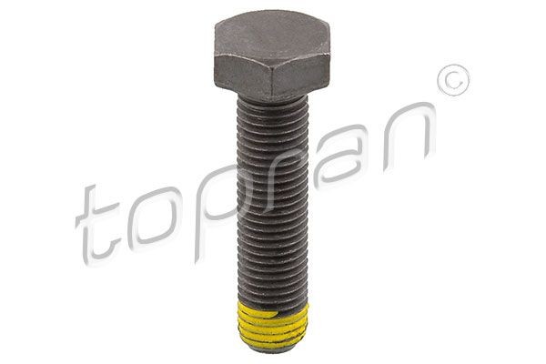 TOPRAN Svinghjulsskrue 502 756 Svinghjulsskrue TOPRAN 9-5 502 756 billig