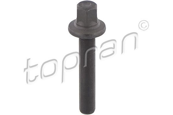 TOPRAN Riemschijfschroef 503 131 TOPRAN 503131 Riemschijfschroef BMW E32 prijs