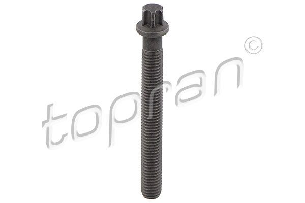 TOPRAN Remskiveskrue 503 132 Remskiveskrue TOPRAN 740 503 132 billige