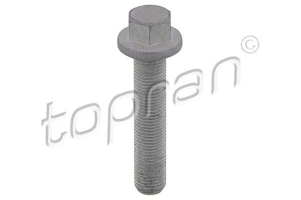 TOPRAN Riemschijfschroef 503 133 TOPRAN 503 133 originele Riemschijfschroef BMW E32 kosten