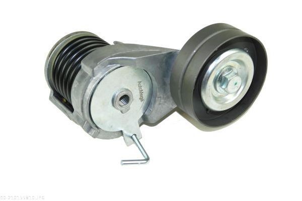 AUTOMEGA Napínacie rameno rebrovaného klinového remeňa 210155810 Napínacie rameno AUTOMEGA TOYOTA 210155810