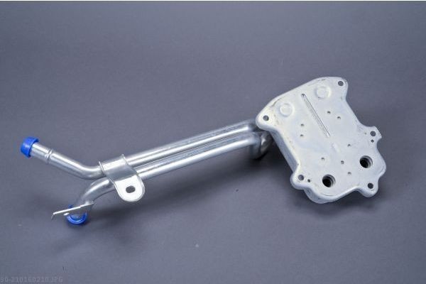 AUTOMEGA Õliradiaator, mootoriõli 210160210 210160210 AUTOMEGA Õlijahuti Suzuki odav