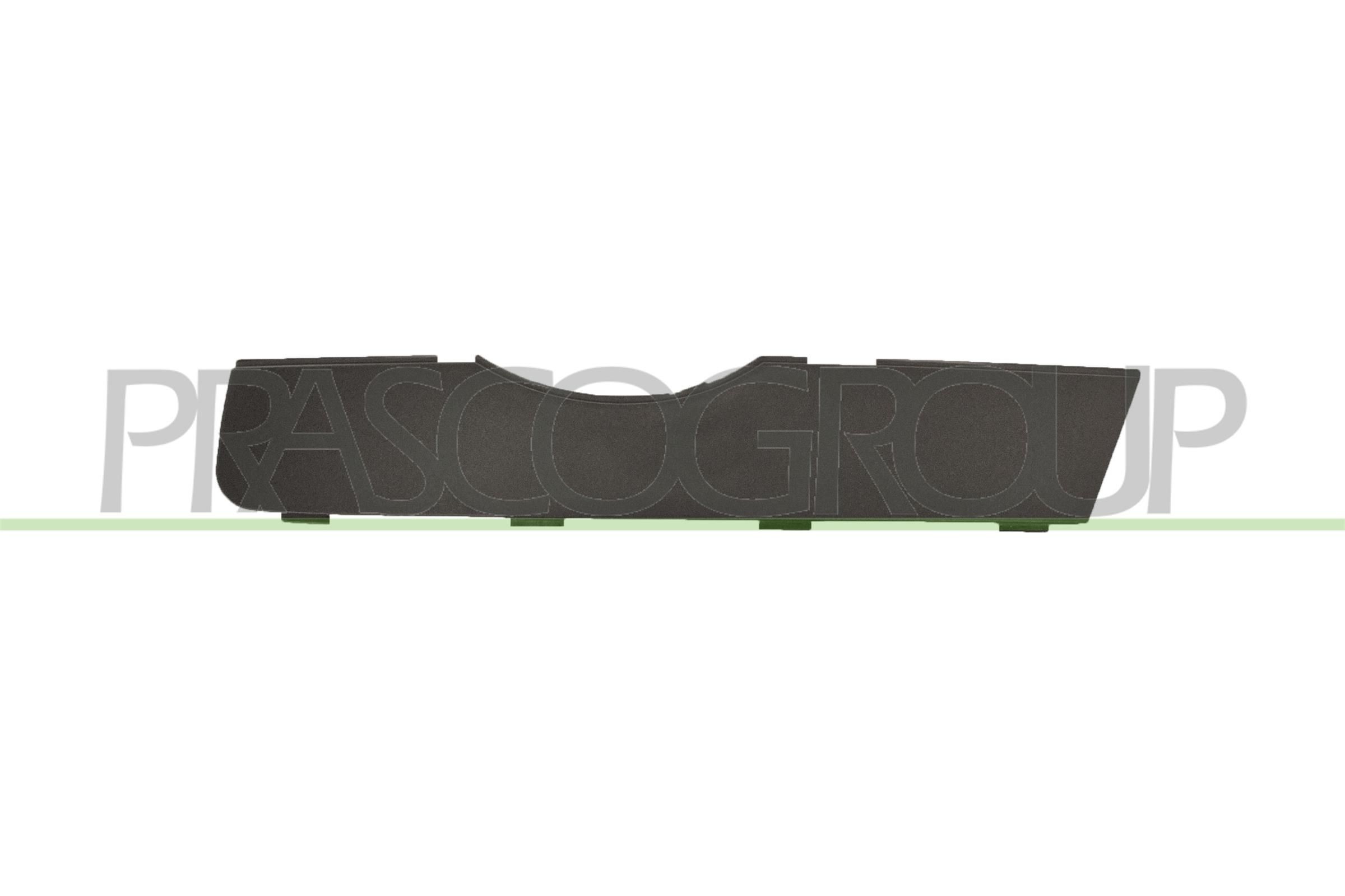 Pynte- / beskyttelsesliste, kølergitter PRASCO AD8101244 PRASCO AD8101244 Frontgitter AUDI Q3 2025