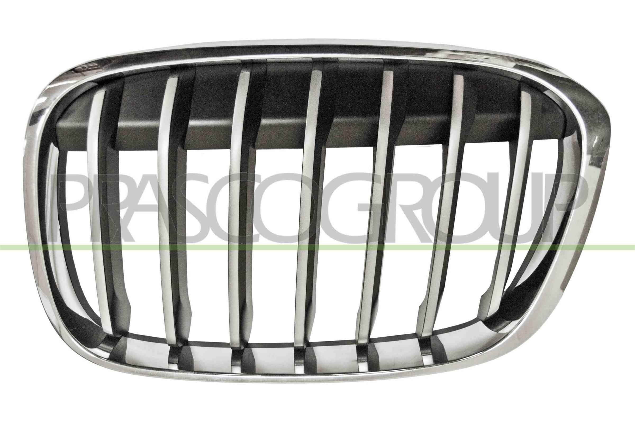 Radiator grill PRASCO BM7062014 PRASCO BM7062014: Grill BMW X1 2025
