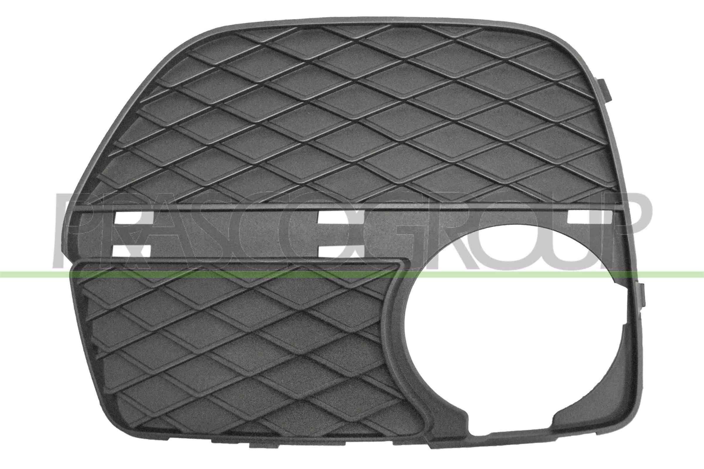 Ventilatiegrille, bumper PRASCO BM8402123 PRASCO BM8402123: Bumper rooster BMW X6 2007