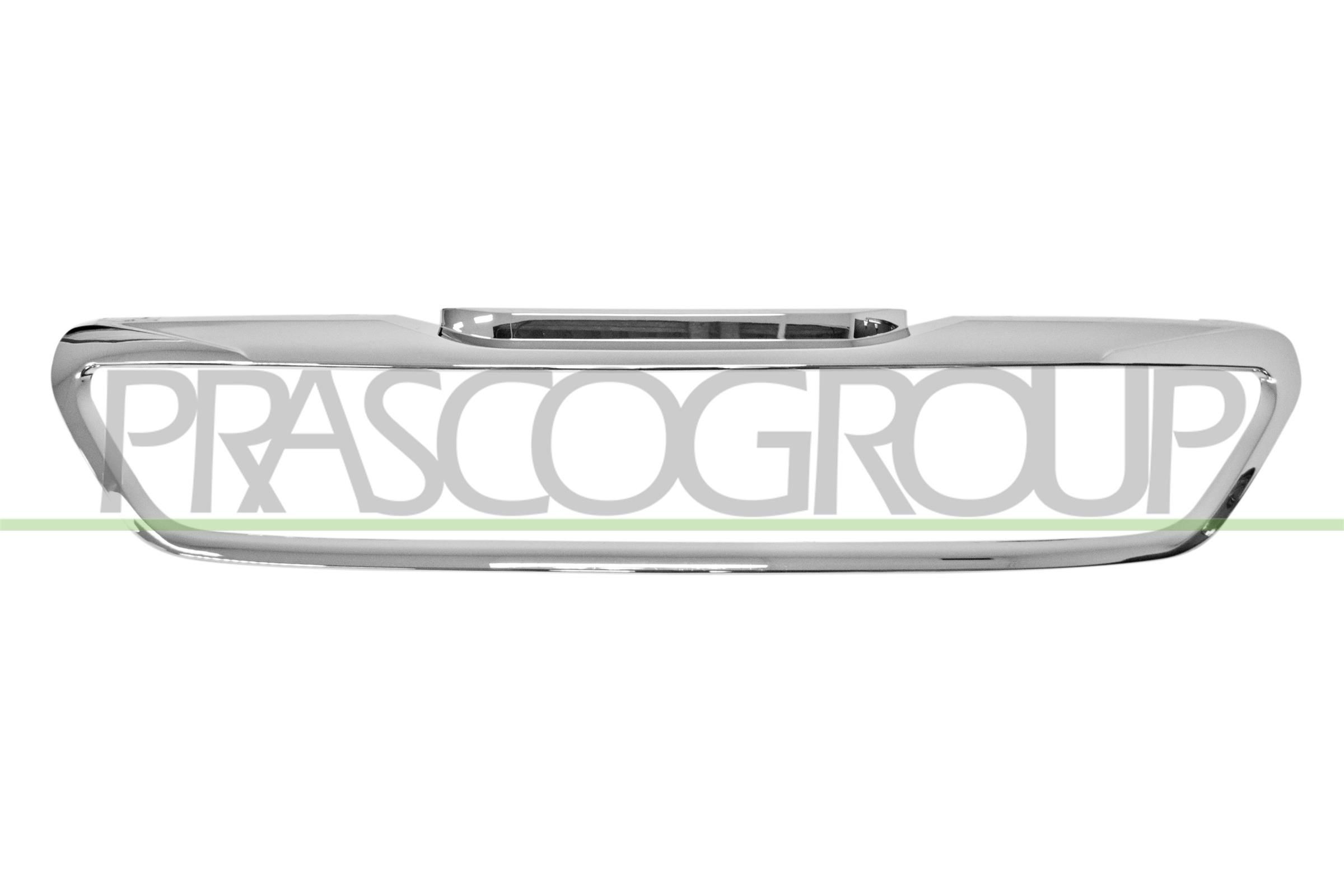 PRASCO Frame, radiateurgrille PG4282206 Grill Peugeot 3H PG4282206 PRASCO