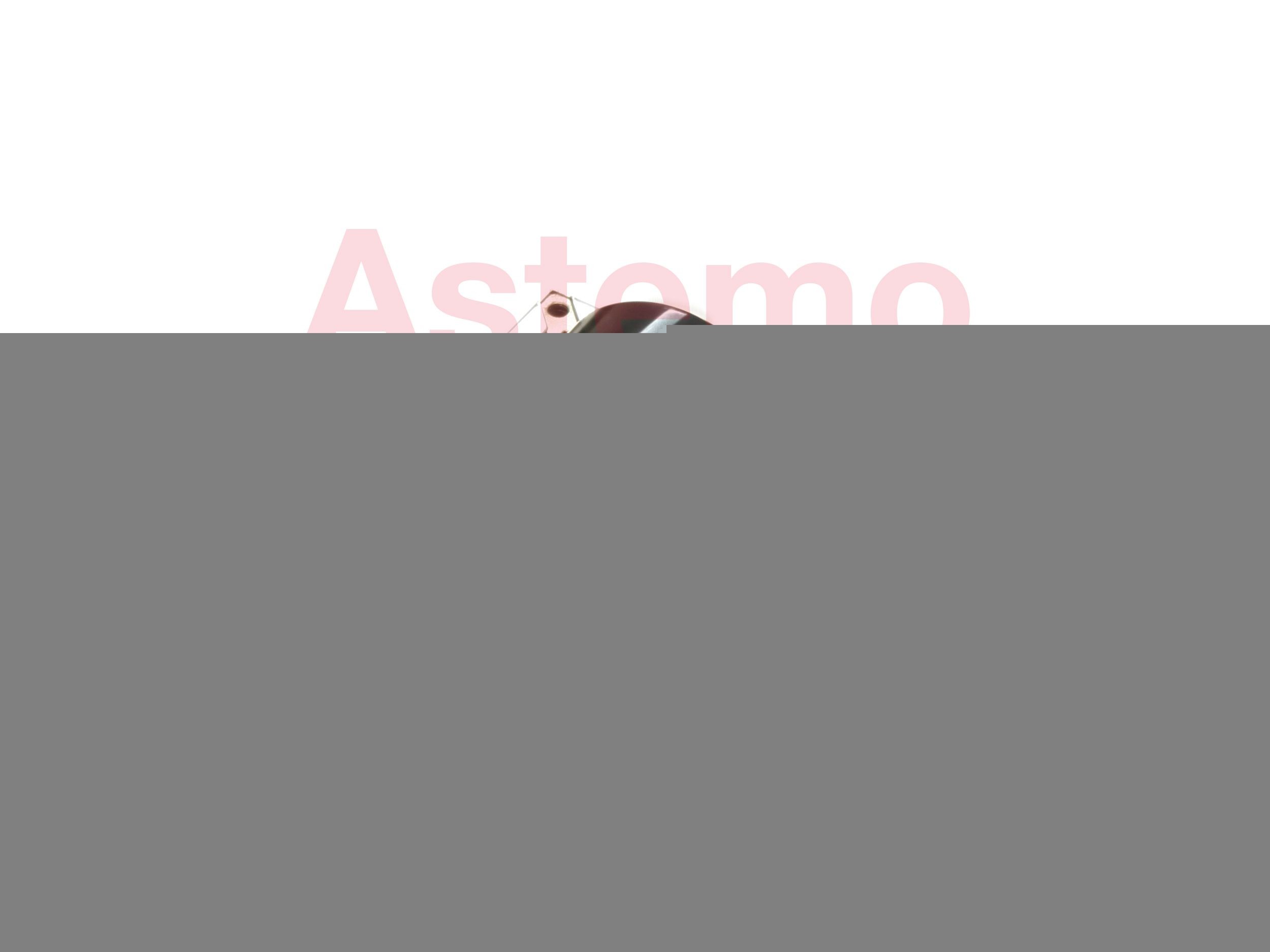 HITACHI Süütepool 2508751 Süütepool HITACHI Alfa Romeo 155 2508751