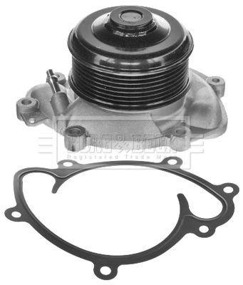 BORG & BECK Veepump BWP2415 BWP2415 Veepump FORD FOCUS BORG & BECK