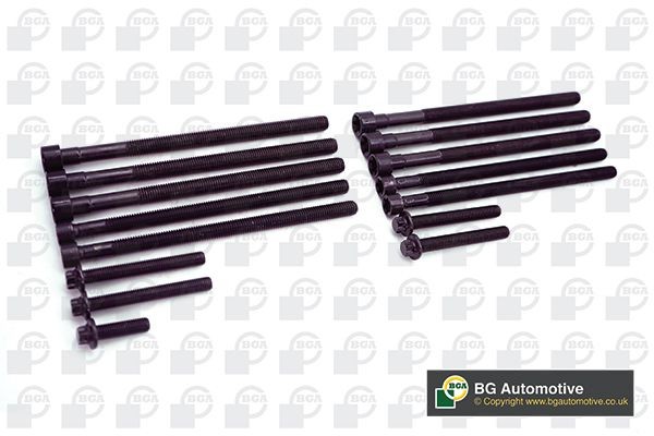 BGA Klapikaanekruvikomplekt BK0902 BGA BK0902 Klapikaanekruvikomplekt BMW Z4 E89 hind