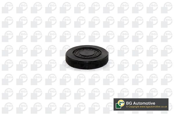 BGA Bouchon, axe de culbuteurs-nez fileté PL4602 PL4602 Culasse NISSAN SUNNY BGA