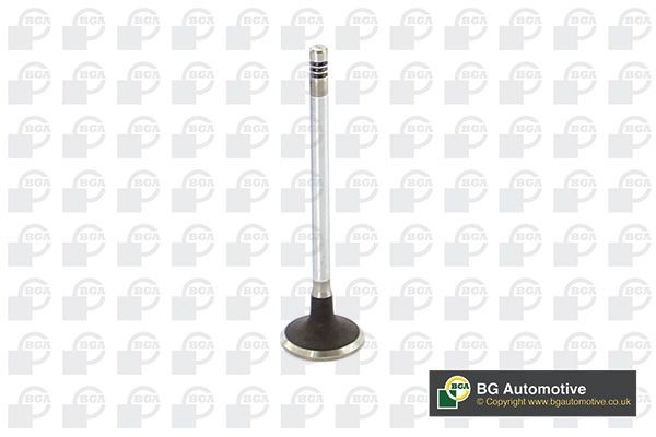 BGA Valvola di aspirazione V149486 V149486 costo Valvola di aspirazione CITROËN XM BGA