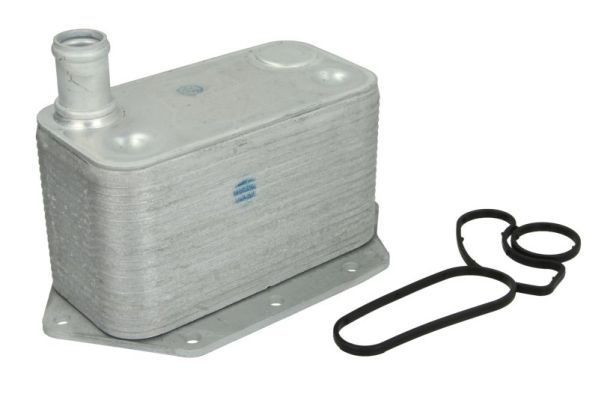 THERMOTEC Moottoriöljyn jäähdytin D4B012TT D4B012TT THERMOTEC Öljynjäähdytin BMW X5