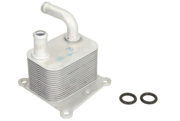 THERMOTEC Moottoriöljyn jäähdytin D4G011TT Focus Mk1 Van / Farmari (DNW) öljynjäähdytin THERMOTEC D4G011TT