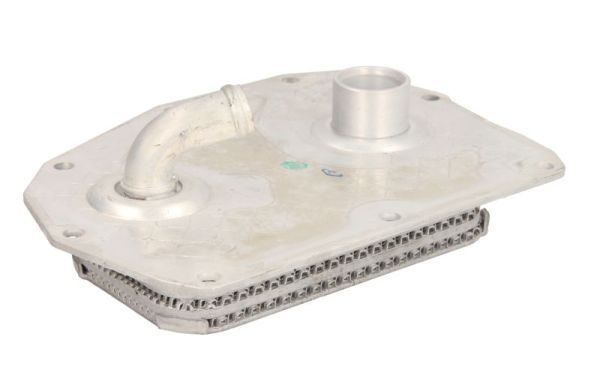 THERMOTEC Oljekjøler, motorolje D4M005TT THERMOTEC D4M005TT Oljekjøler W210 pris