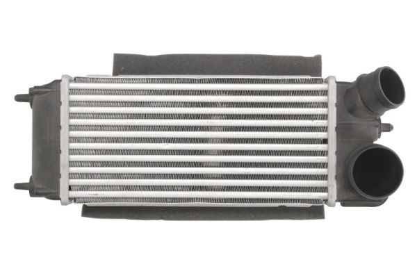Intercooler THERMOTEC DAG014TT THERMOTEC DAG014TT Radiator intercooler Ford FIESTA 2009