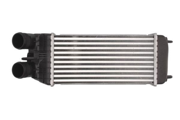 THERMOTEC Välijäähdytin DAP003TT THERMOTEC DAP003TT CITROËN DS3 Hatchback välijäähdytin