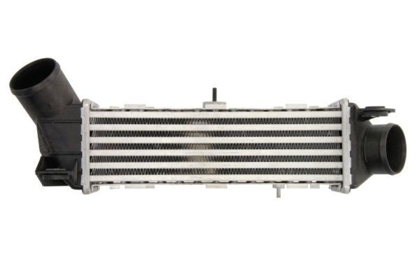 Intercooler THERMOTEC DAT002TT THERMOTEC DAT002TT Radiatore intercooler Volkswagen POLO 2000