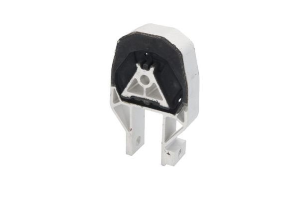FORTUNE LINE Holder, motorophæng FZ91596 Motorophæng FORTUNE LINE C70 FZ91596 billig