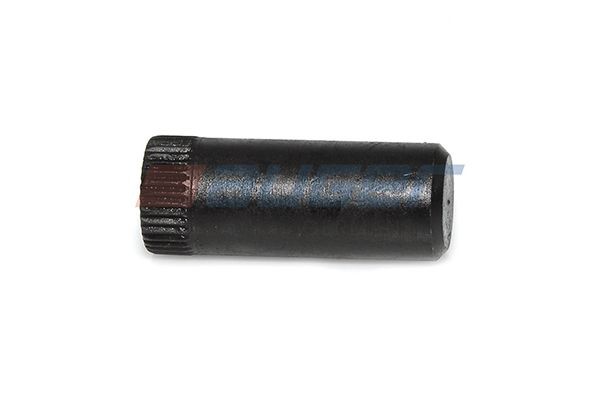 AUGER Μπουλόνια σιαγόνων φρένων 53405 53405 Βίδα, δισκόπλακα AUGER PEUGEOT 106
