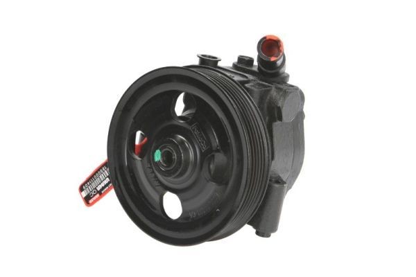 LAUBER Power steering pump 55.6119 55.6119 LAUBER steering pump for FORD