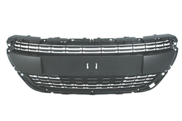 BLIC Grill 6502-07-5509992PP BLIC 6502-07-5509992PP Radiaatorivõre Peugeot 5008 mk1 hind