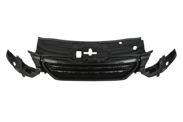 BLIC Mrieżka chladiča 6502-07-5516990P BLIC 6502-07-5516990P Mrieżka chladiča PEUGEOT 2008 Kombi (CU_) 1.6 HDi 92 KS 2015