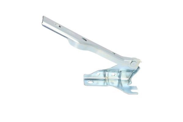 BLIC Gångjärn, motorhuv 6802-00-9507452P BLIC 6802-00-9507452P Gångjärn, motorhuv