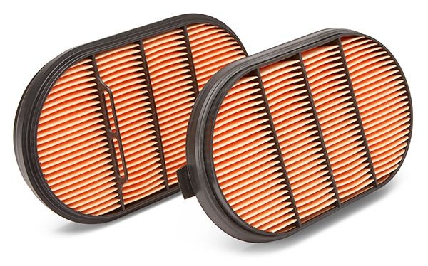 FLEETGUARD Filtro aria secondaria AF4199 AF4199 Filtro aria secondaria ALFA ROMEO FLEETGUARD costo