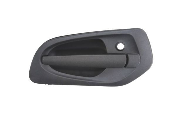PACOL Maniglia porta MER-DH-011L MER-DH-011L Maniglia apriporta PACOL CITROËN C2 costo