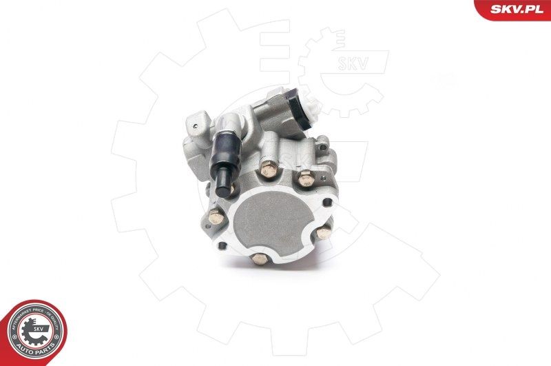 ESEN SKV Servopumpe 10SKV199 10SKV199 Hydraulikpumpe OPEL OMEGA ESEN SKV