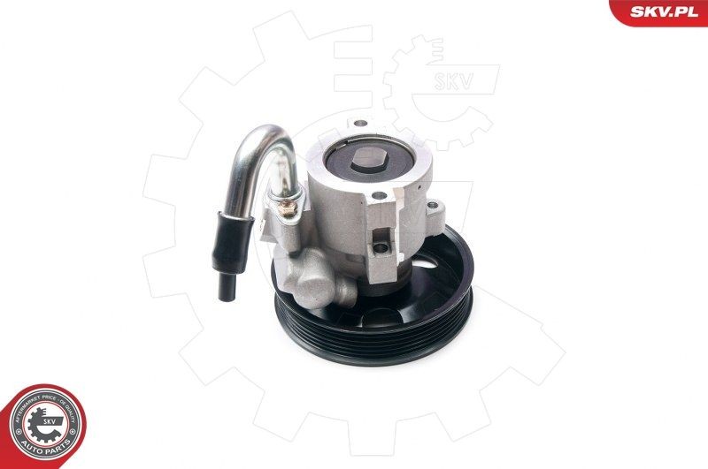 ESEN SKV Stuurbekrachtigingspomp 10SKV206 ESEN SKV 10SKV206 Hydraulische pomp, besturing Chevrolet Aveo T200 goedkoop