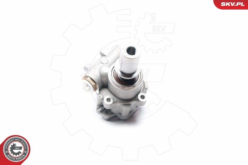 ESEN SKV Roolivõimu pump 10SKV217 ESEN SKV 10SKV217 Hüdraulikapump roolimine Renault MODUS / GRAND MODUS originaal