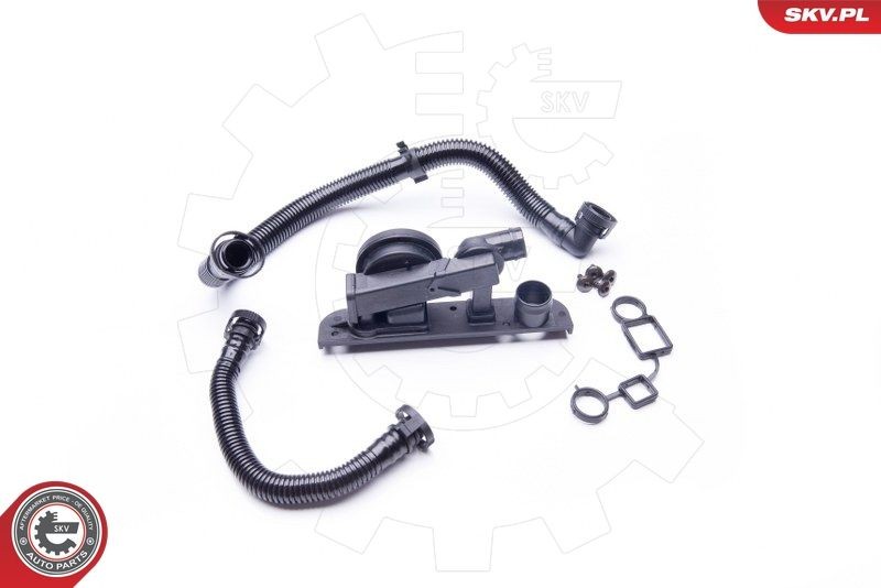 ESEN SKV Kit riparazione, Ventilazione monoblocco 31SKV005 31SKV005 Valvola recupero vapori olio ESEN SKV SEAT TOLEDO costo