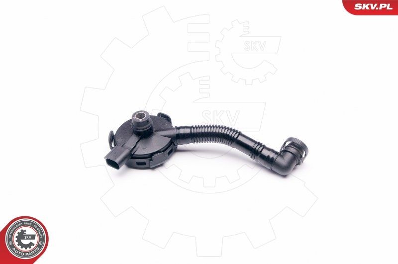 Valvola, Ventilazione carter ESEN SKV 31SKV020 ESEN SKV 31SKV020 costo Valvola recupero vapori olio Volkswagen PHAETON 2002