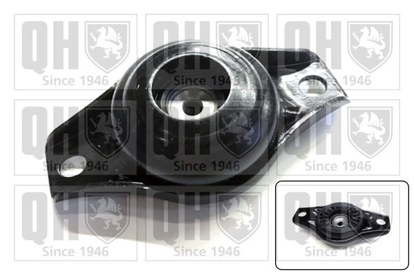 Coupelle d'amortisseur QUINTON HAZELL EMR4900 QUINTON HAZELL EMR4900 Butée d'amortisseur FORD GALAXY 2018