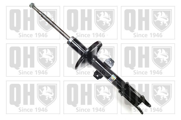 QUINTON HAZELL Ammortizzatore QAG181050 QUINTON HAZELL QAG181050 Kit ammortizzatori Dacia DUSTER originali