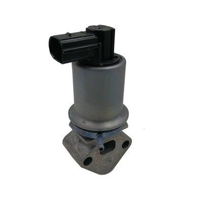 MAGNETI MARELLI EGR klep 571822112071 Volkswagen PASSAT EGR klep MAGNETI MARELLI 571822112071