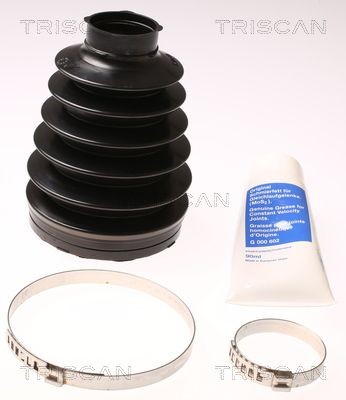 Asmanchetten set TRISCAN 8540 24915 TRISCAN 8540 24915: Aandrijfashoes Chevy SPARK 2009