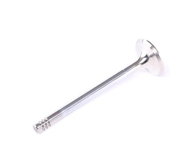 AE Exhaust valve V80024 AE V80024 genuine Audi TT FV engine exhaust valve price