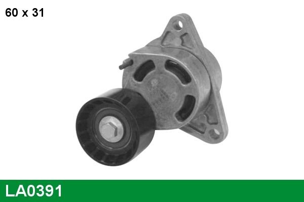 LUCAS Galet tendeur de courroie d'accessoire LA0391 Tendeur de courroie LUCAS 405 LA0391 pas cher