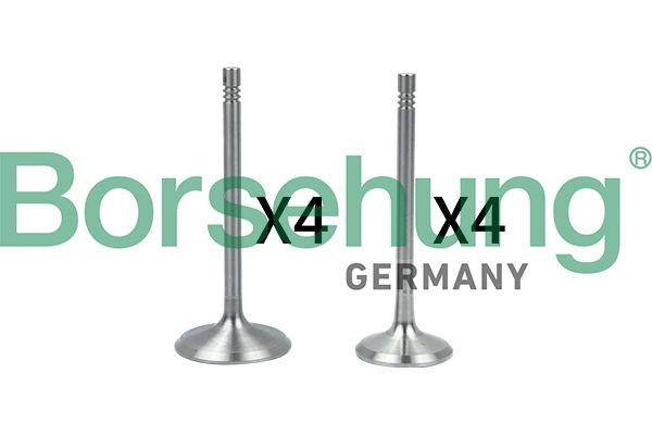 Vārsts Borsehung B18146 Borsehung B18146: Izplešanās vārsts Audi A4 2004