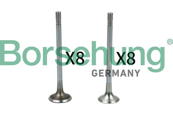 Borsehung Vārsts B18628 Izplešanās vārsts Skoda NJ5 B18628 Borsehung