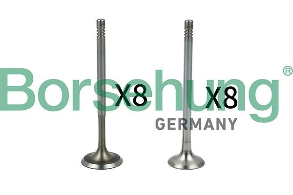 Borsehung Vārsts B18630 Izplešanās vārsts Skoda NJ5 B18630 Borsehung