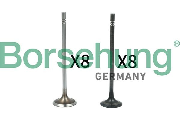 Klapp Borsehung B18631 Borsehung B18631 SEAT IBIZA 2020 Ekspansiooniklapp kliimaseade