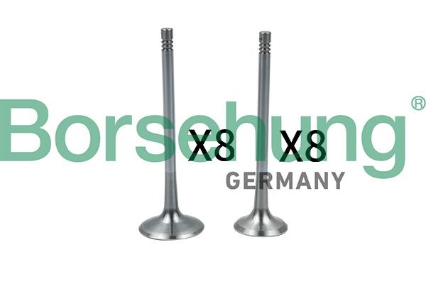 Borsehung Sisselaskeventiil B18637 Borsehung B18637 Sisselaskeklapp VW CC 358 hind