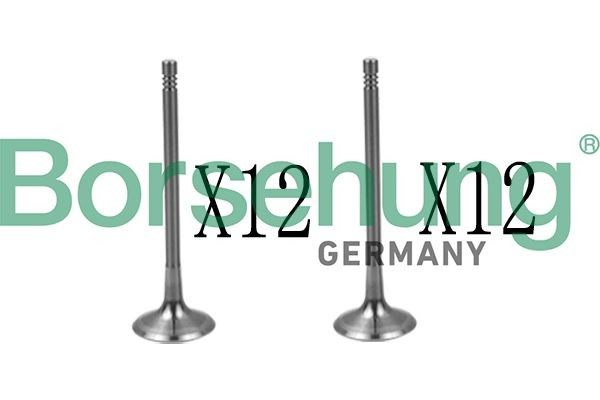 Borsehung Klep B18639 Borsehung B18639 Expansieventiel airco VW Jetta 1k2 prijs