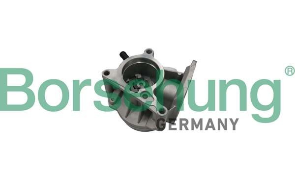Borsehung Vakuumpumpe, bremseanlegg B18666 Borsehung Vakuumpumpe for bremsekraftforsterker PEUGEOT B18666
