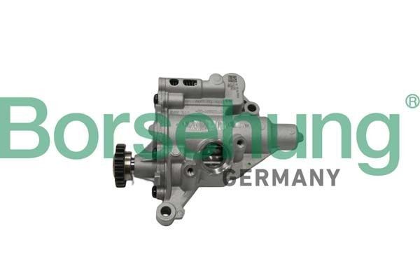 Eļļas sūknis Borsehung B18758 Borsehung B18758 Eļļas sūknis AUDI TT 2014