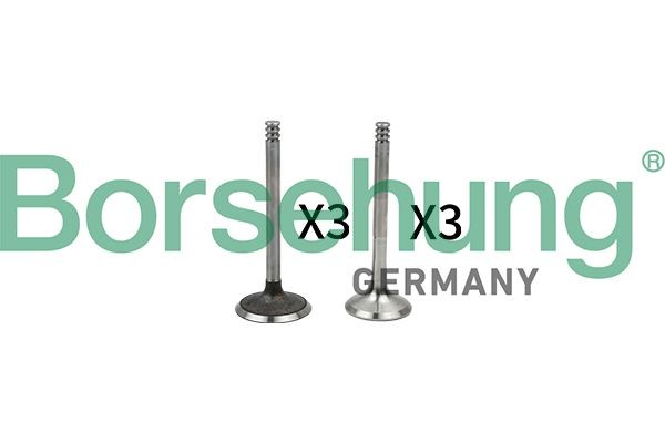 Vārsts Borsehung B18765 Borsehung B18765 Izplešanās vārsts AUDI A4 2004